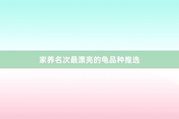 家养名次最漂亮的龟品种推选