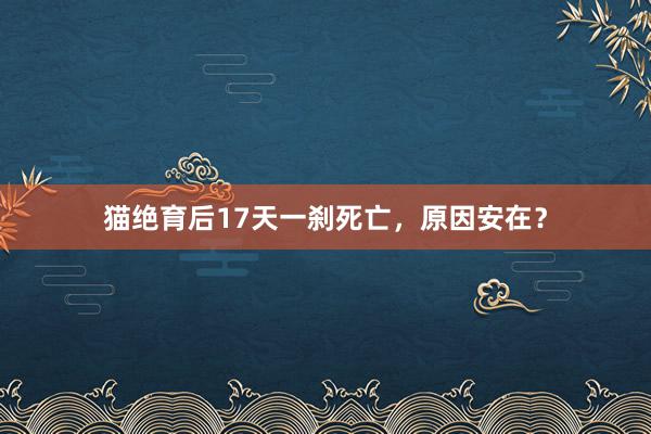 猫绝育后17天一刹死亡，原因安在？